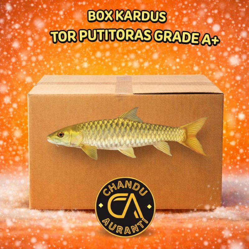 Ikan Putitoras